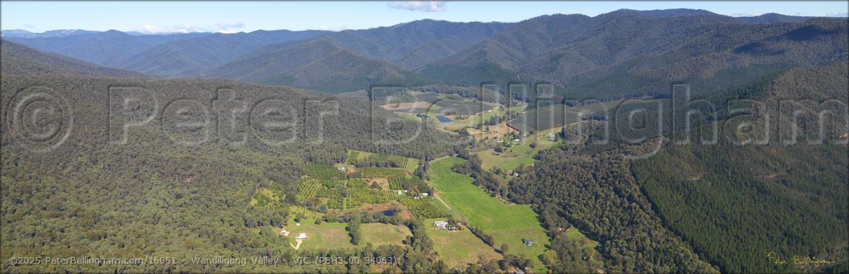 Peter Bellingham Photography Wandiligong Valley - VIC (PBH3 00 34063)